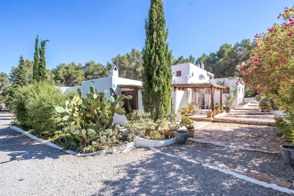 Casa Rosada - Gorgeous Family Finca Near Santa Gertrudis Villa Santa Gertrudis  Bagian luar foto